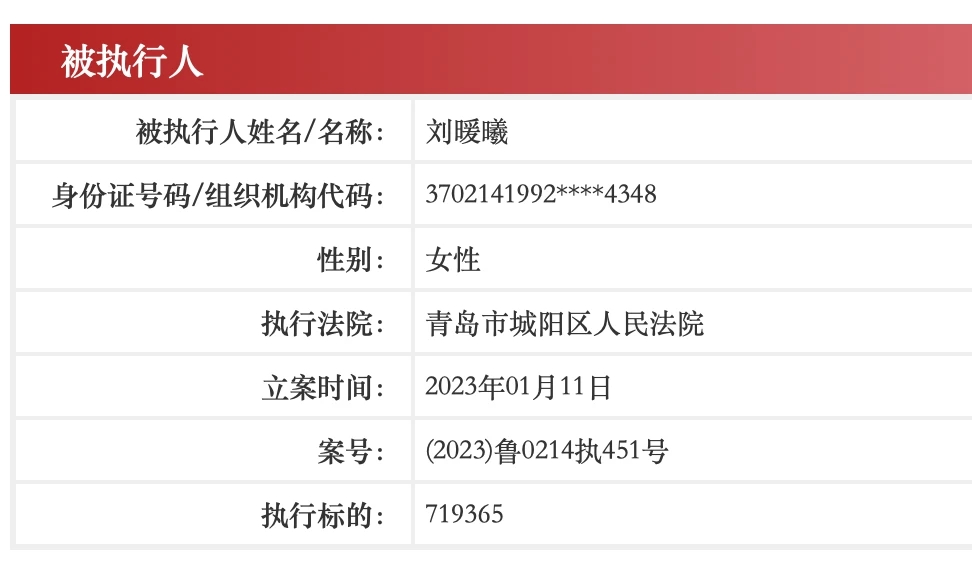 “江歌案”被告刘鑫已成被执行人，执行标的71.94万元-纸飞机下载站-纸飞机下载站