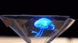 从激动到沉静:电子游戏中的真实感和刺激性体验- 纸飞机下载站