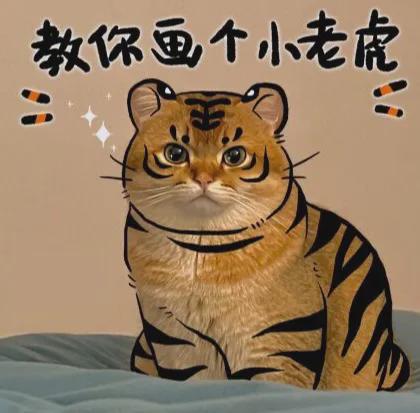老虎猫动画片_宠物老虎猫_猫和老虎手机版游戏下载