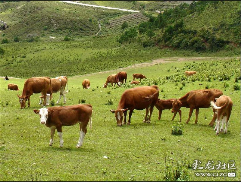 战神裁决手机游戏怎么玩_战神裁决手机游戏_战神裁决邀请码