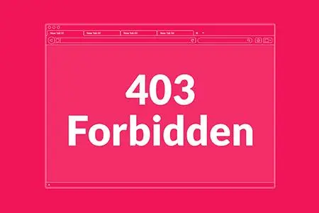 403forbiddennginx什么意思_意思的拼音_意思表示