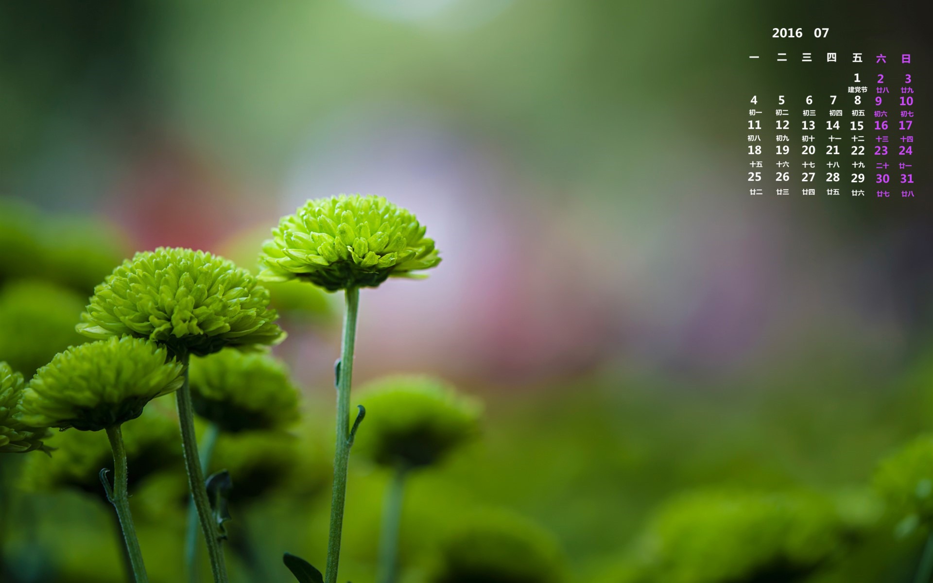 月历壁纸手机_月历壁纸桌面壁纸高清_7月日历壁纸