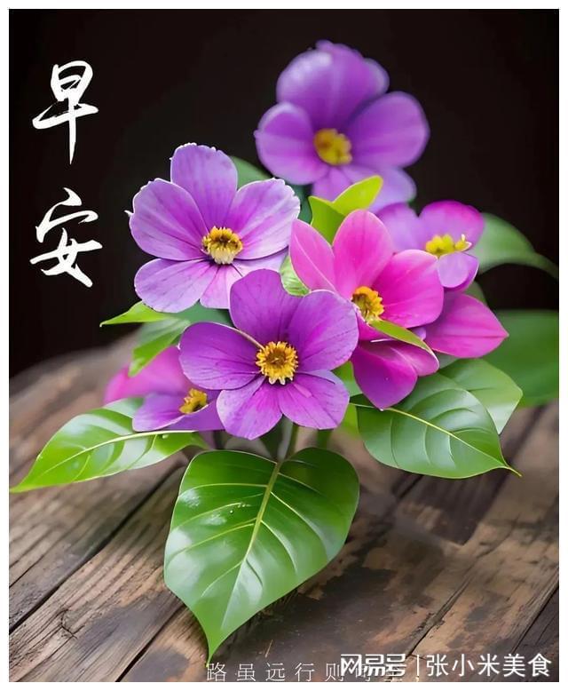 4月月历-四月：春风温柔，花儿微笑，阳光温暖，馈赠满满