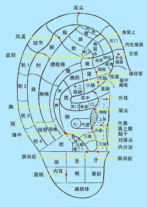 艾灸比较好的书籍推荐_艾灸多久一次比较好_艾灸比较痒是怎么回事