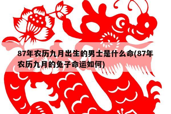 生肖年份属兔_属兔年份_兔属性年份