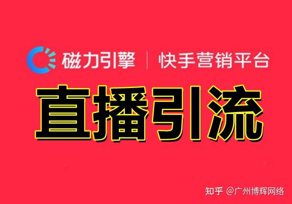 快手引流是什么意思呀_引流快手方法是什么意思_快手引流的最快方法是什么