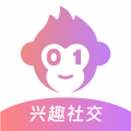 找个程序员安卓版 找个程序员安卓版
