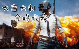 吃鸡是哪个公司的游戏,刺激战场的崛起——蓝洞公司引领的吃鸡游戏革命