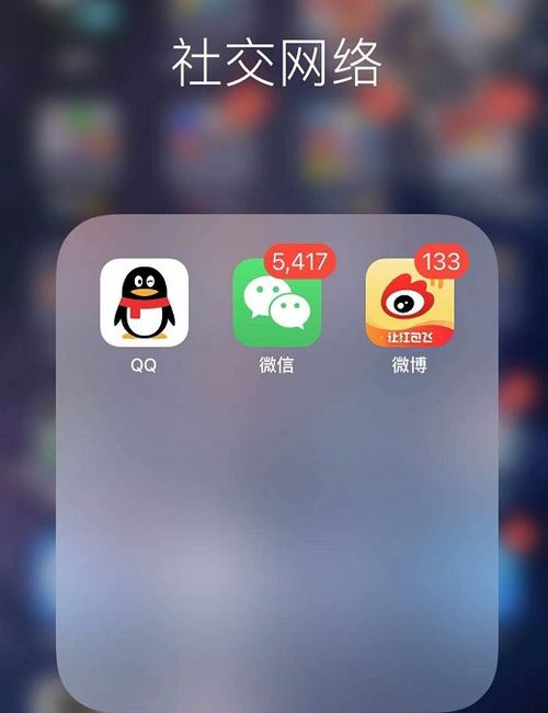 拾觅交友聊天软件下载 