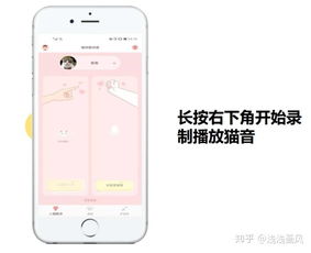 你够聪明吗安卓版免费下载安装 