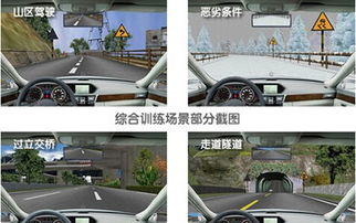洲洋车友 