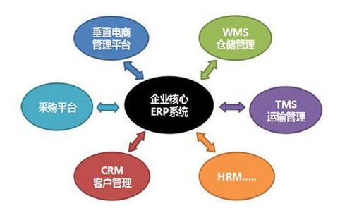 百变小组件合集 