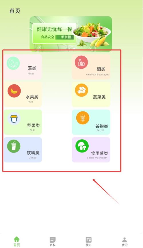 崩溃大陆满级全物品安卓版 