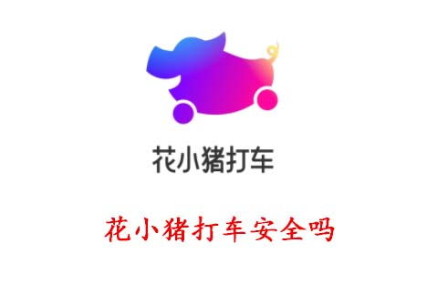 小猪视频最新版 
