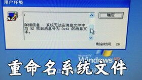 流氓布娃娃 