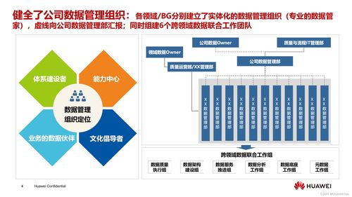 Nomad建模软件中文版 