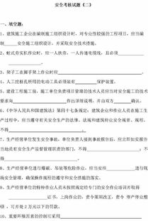机场安全员模拟器 
