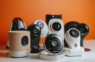 一键换头软件官方版手机最新版下载地址 