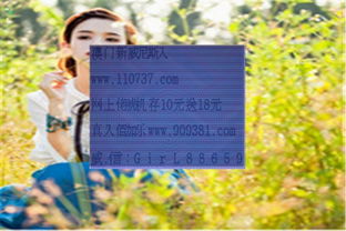 T米软件 