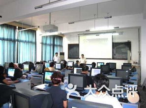 怎么样才能不当社畜:妻子的故事 