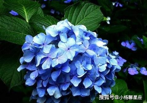 盛读小说赚钱软件下载 