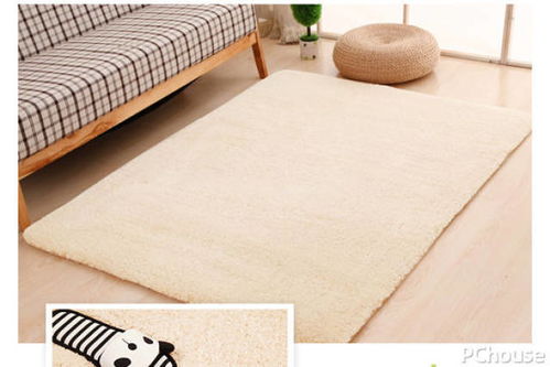 洗地毯我最强(Carpetclean) 