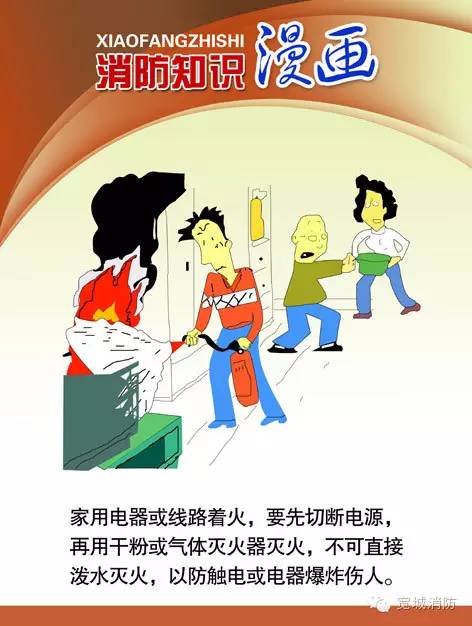 一起学画鸟软件 