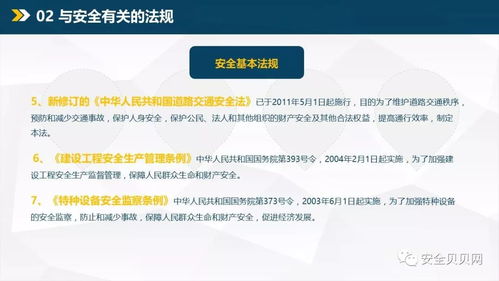 怎么样才能不当社畜:妻子的故事 