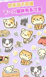 猫的毛游戏安卓,猫的毛游戏安卓版深度体验