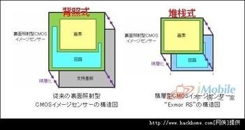 全脑开发专注力训练 
