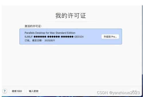 百变小组件合集 
