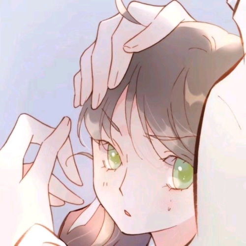 蛋里有什么 