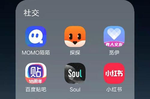 甜瓜视频聊天交友软件下载 