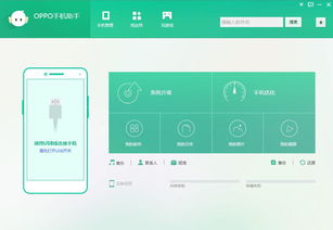 什么什么里奥冒险  什么什么里奥冒险