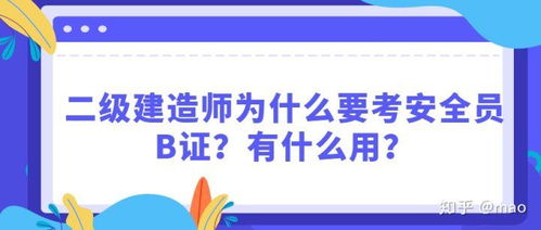 什么什么里奥冒险 