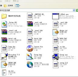 白描下载软件安装 